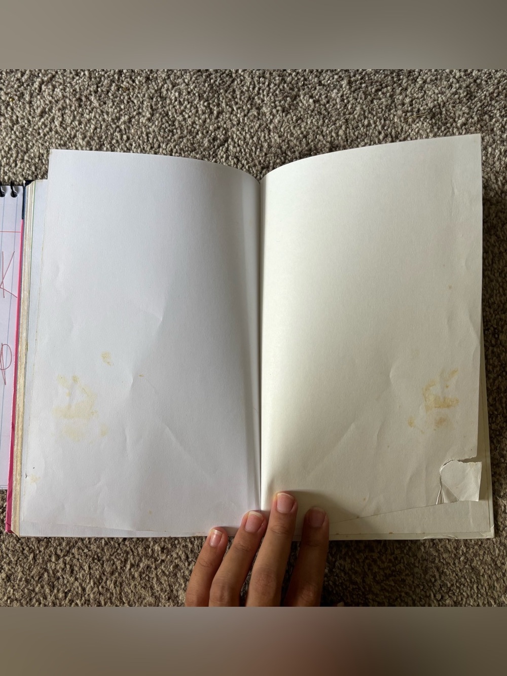 Disney Princess Book - Picture 5 of 8
